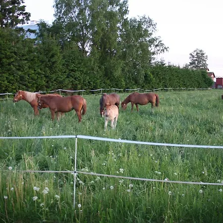 Majatalo Tyrni * Nakkila