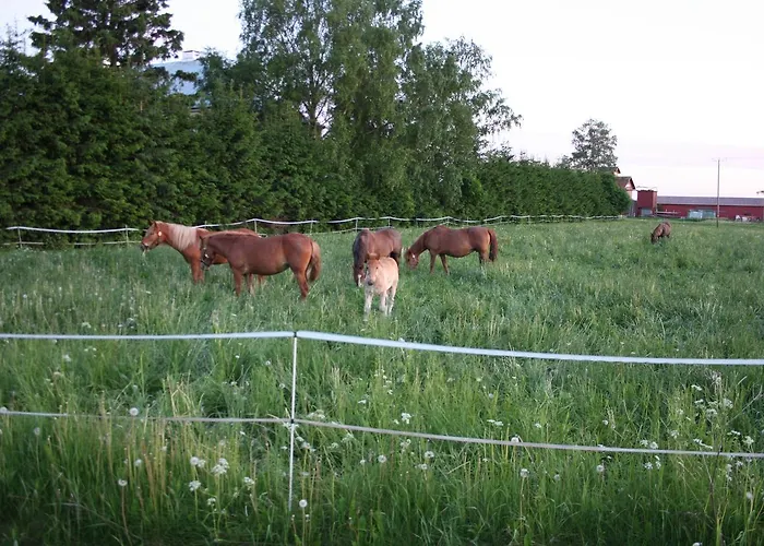 Majatalo Tyrni * Nakkila